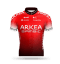 Arkea-Samsic